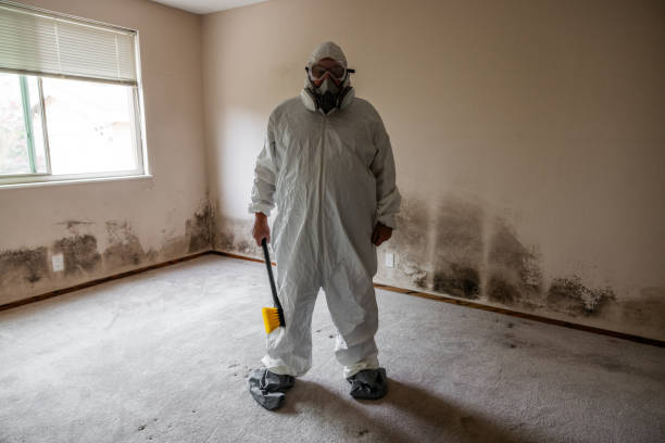 Best Insurance-Related Mold Remediation in Mount Zion, GA